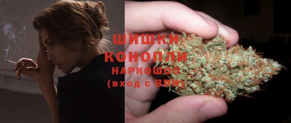 индика Зеленокумск