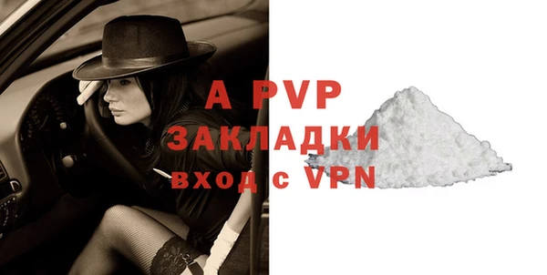 индика Зеленокумск