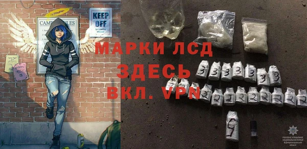 индика Зеленокумск