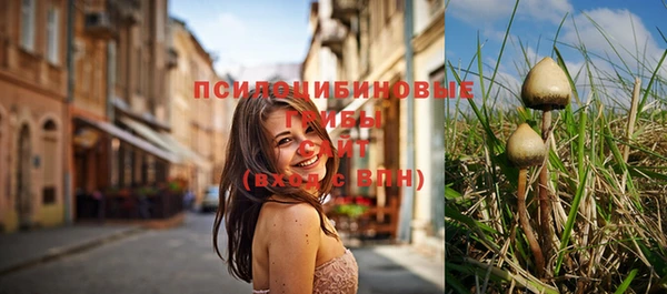 индика Зеленокумск