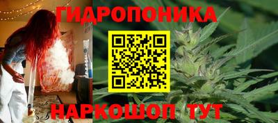 таблы Гусев