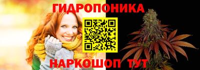 таблы Гусев