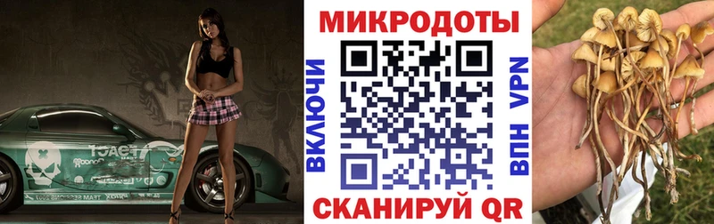 Псилоцибиновые грибы Magic Shrooms  Великий Новгород 