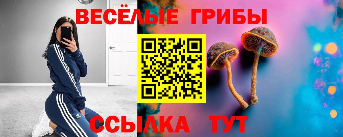 Псилоцибиновые грибы Cubensis Великий Новгород
