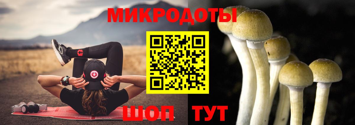Галлюциногенные грибы Cubensis Великий Новгород