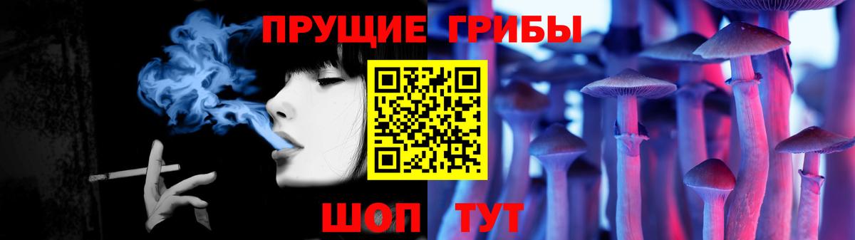 Галлюциногенные грибы GOLDEN TEACHER  Великий Новгород  Галлюциногенные грибы Psilocybe 